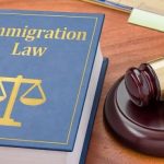 business immigration lawyer