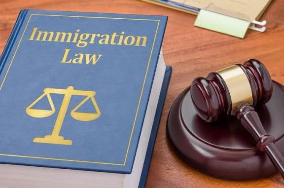 business immigration lawyer